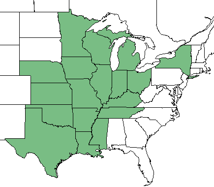 The range of Baptisia leucantha